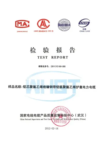 Certificate1